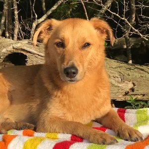 Meet your Posher, Kristen